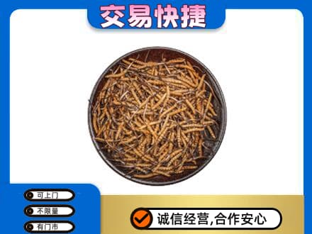 石嘴山大武口高价回收散虫草